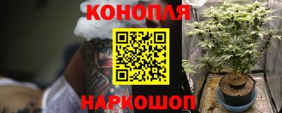 a pvp Лесосибирск