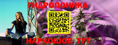 a pvp Лесосибирск
