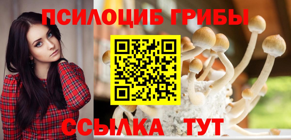 Галлюциногенные грибы мухоморы  Вход с VPN  магазин продажи   Будённовск 